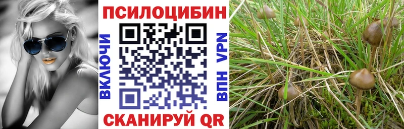 сайты даркнета телеграм Рыльск Псилоцибиновые грибы Cubensis